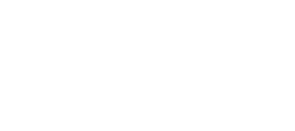 Logo Pluga